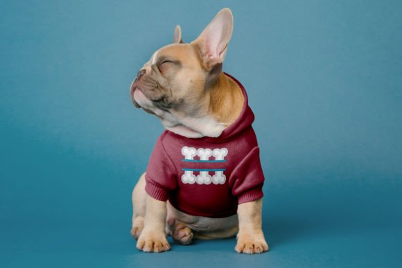 Dog Bone Split Applique Review